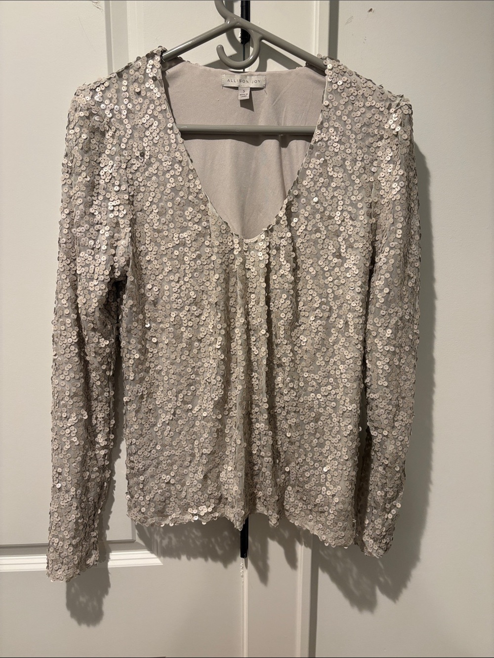 Allison Joy Silver Sequin V-Neck Long Sleeve Top